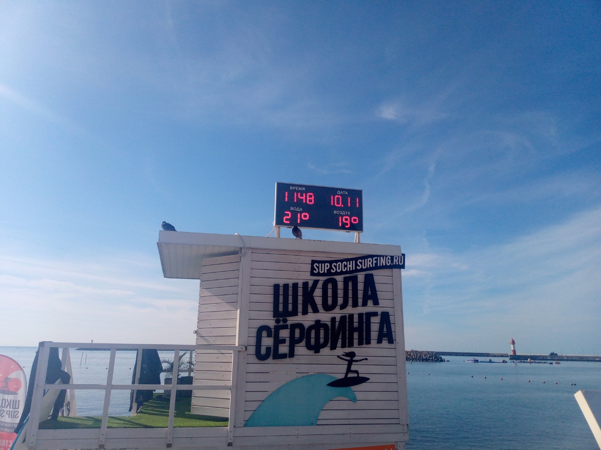 Сочи, 10 ноября 2024г. Фото автора 