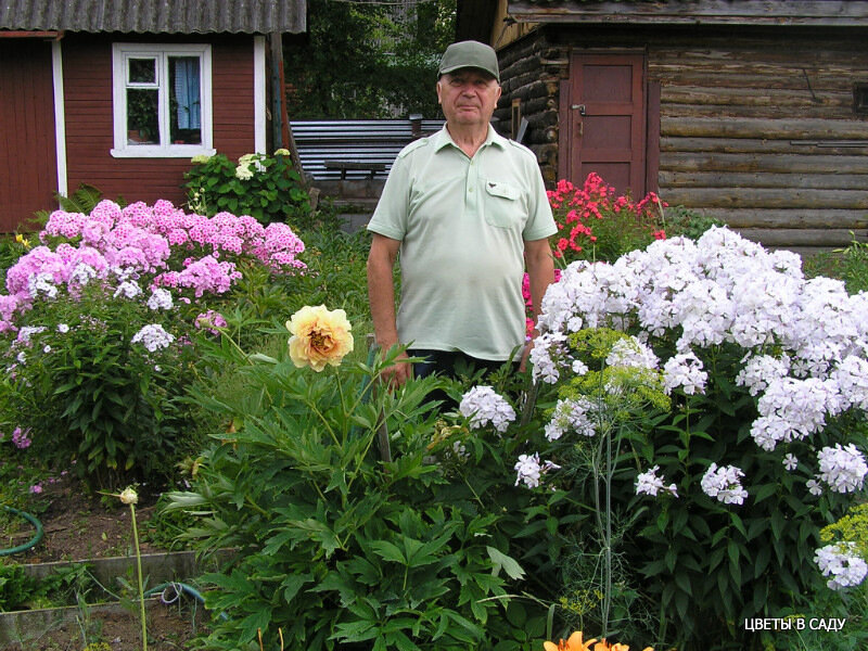 Дубров В.М. в своем саду