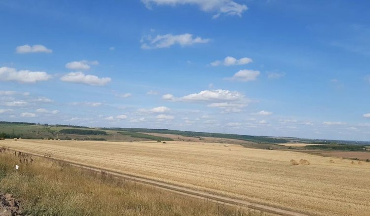    Ценность высокой стерни и очесывающей жатки подтвердило исследование