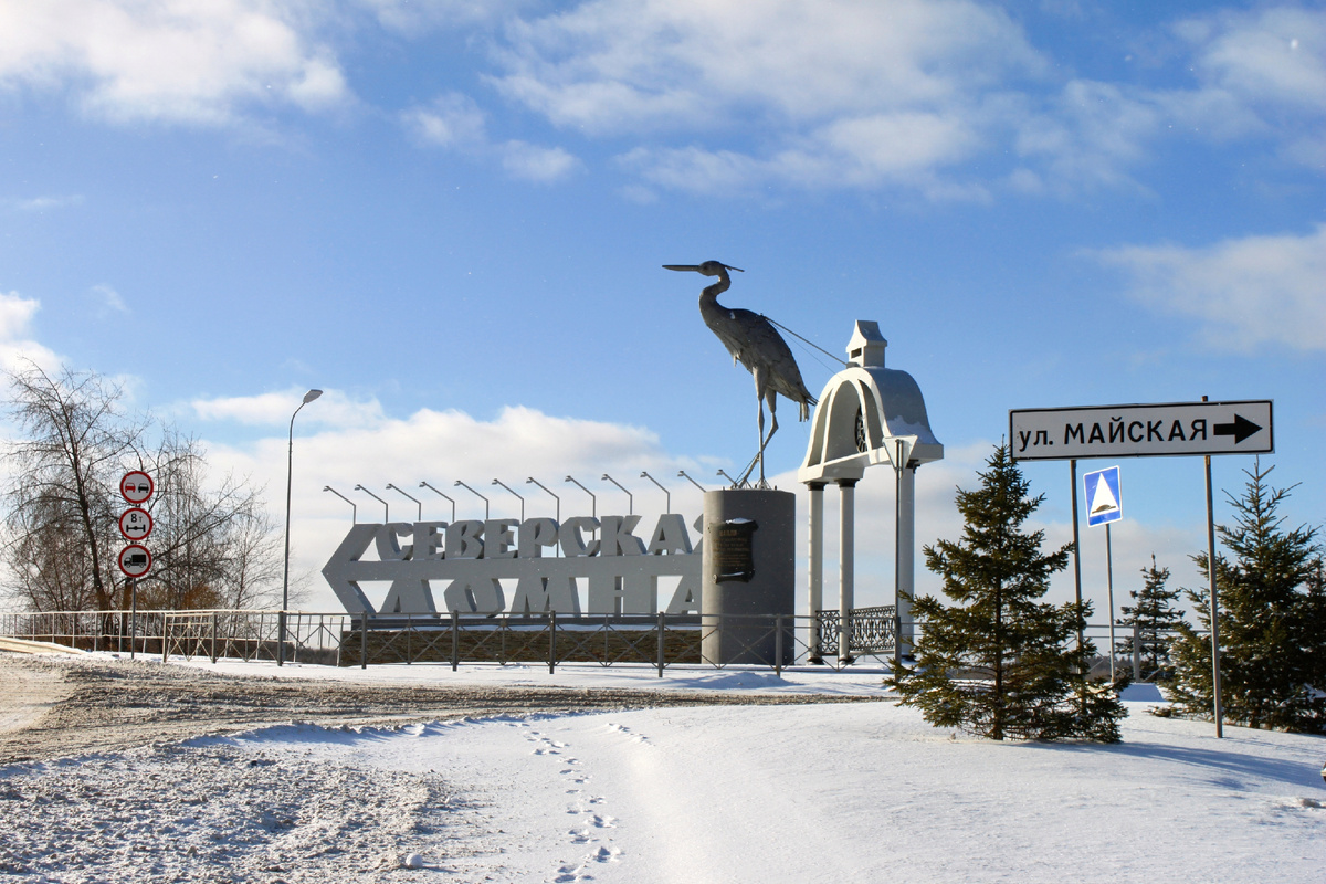 Фото автора. Цапля — тотемная птица Полевского завода. Огромное гнездо птицы установлено на одной из заводских труб, флюгер в виде цапли закреплен и на самой домне. Она же служит указателем.