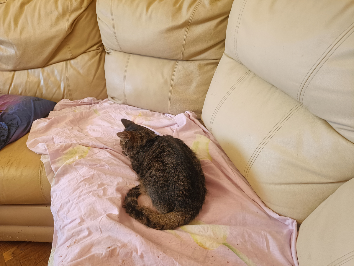 фото от 7 ноября