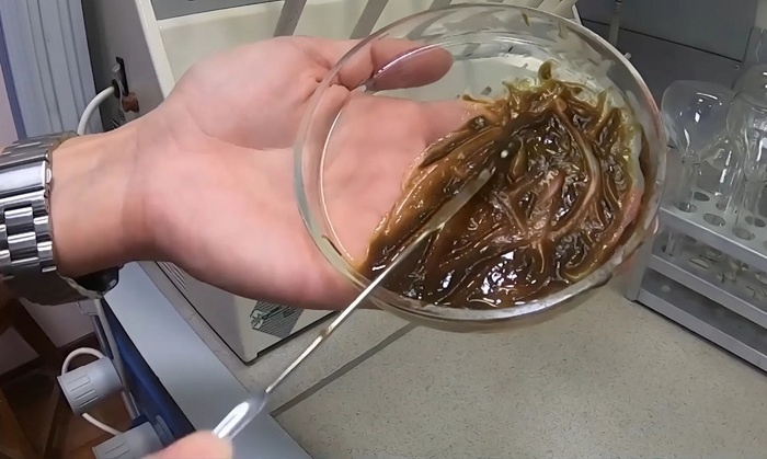    Ученые сделали керосин из пластика