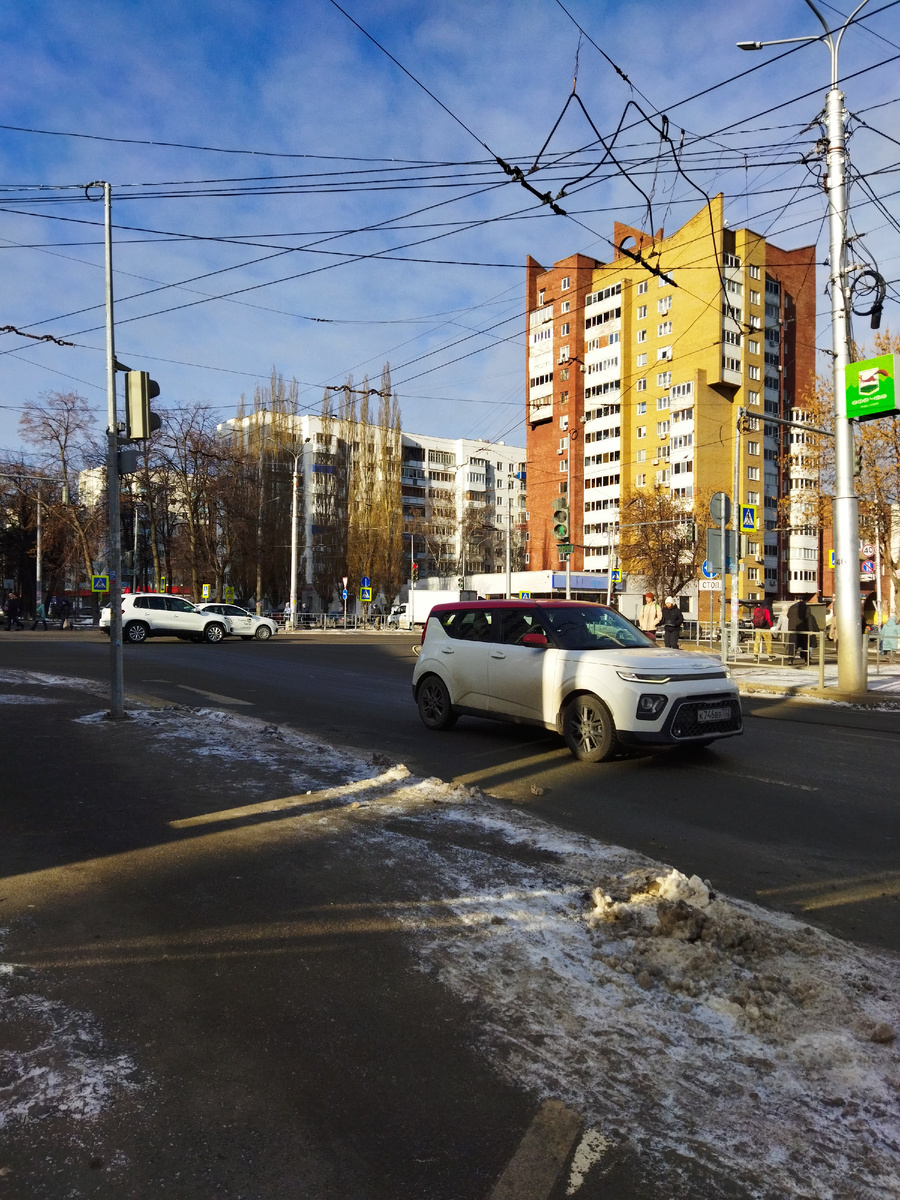 Фото автора. Вчера, 12 ноября.