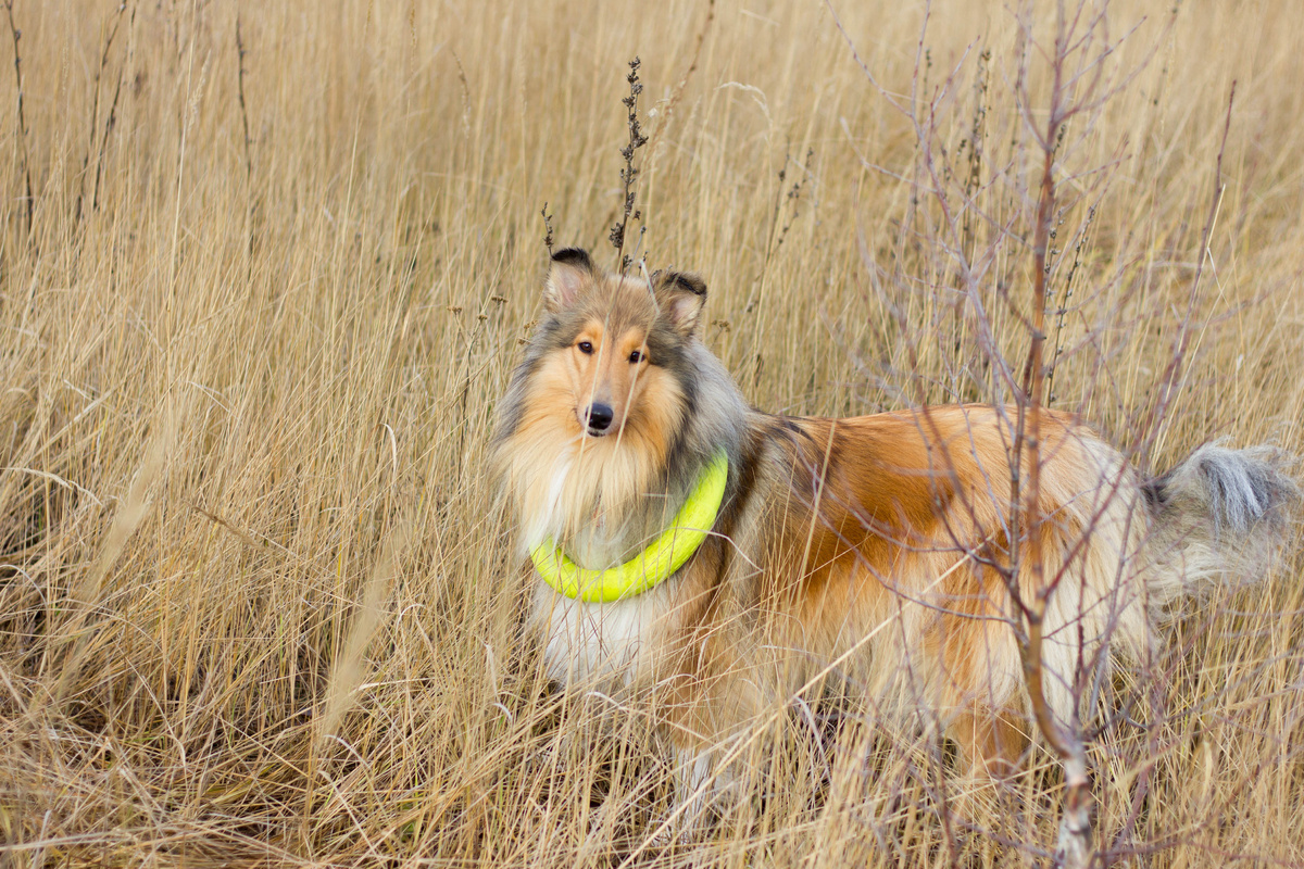 Уж спряталась так спряталась