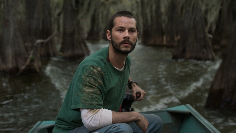 Кадр из фильма «Caddo Lake» / фото: mubi.com