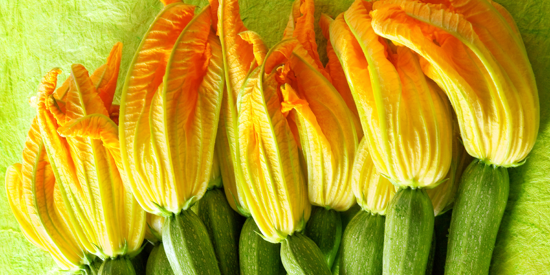 Вкусно и красиво: зачем есть цветки кабачков