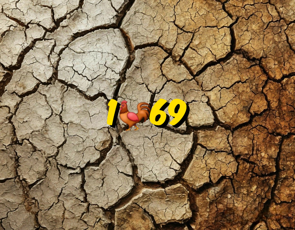 1969 год в восточном календаре и китайском гороскопе: Земляной Петух