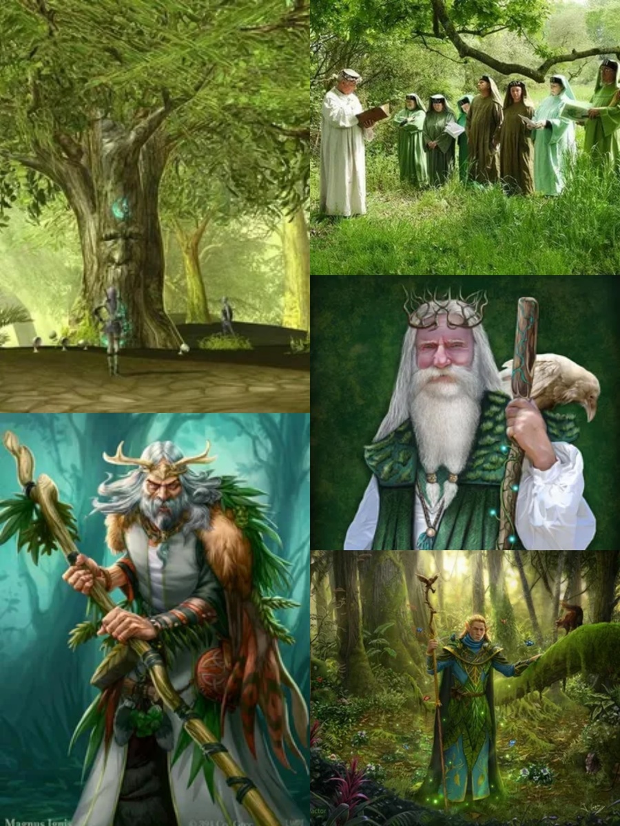 Фотоколлаж автора статьи 