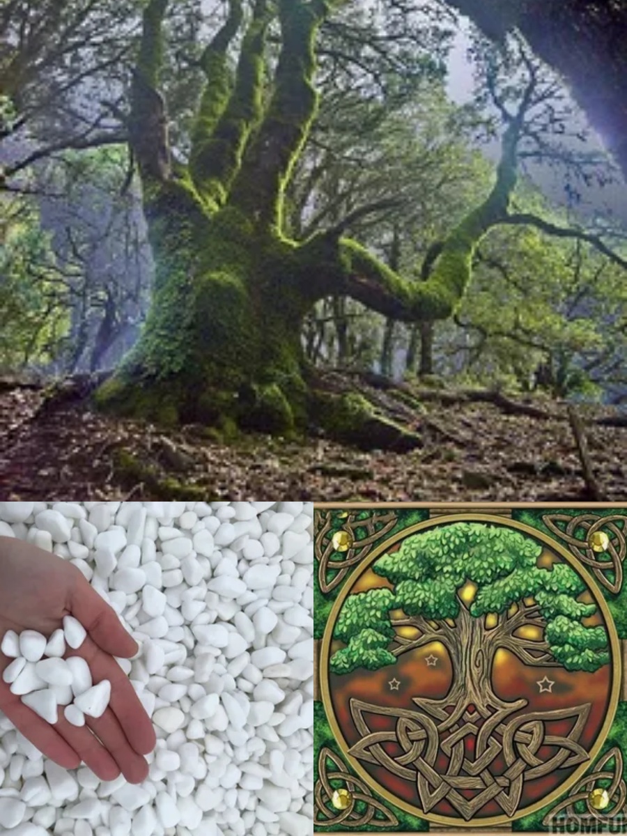 Фотоколлаж автора статьи 