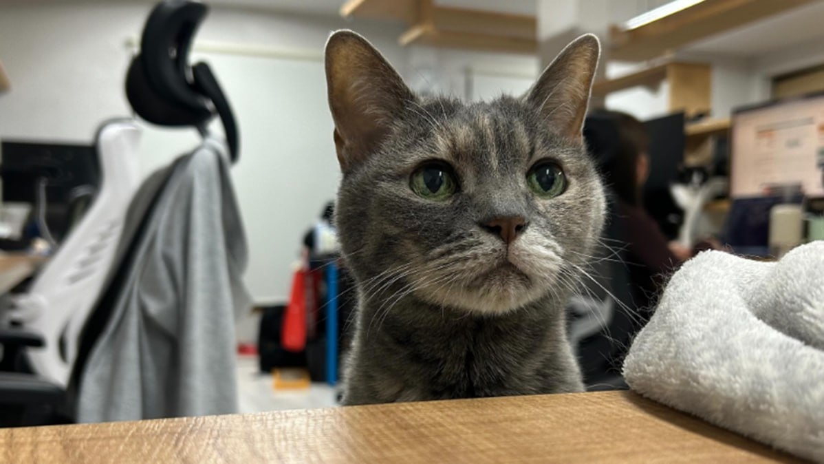 Фото: Instagram*/qnote *Организация, принадлежащая Meta Platforms Inc., деятельность которой запрещена в России