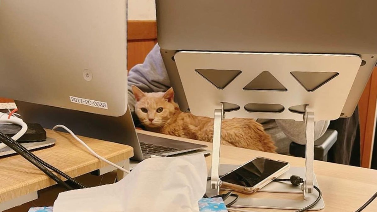 Фото: Instagram*/qnote *Организация, принадлежащая Meta Platforms Inc., деятельность которой запрещена в России