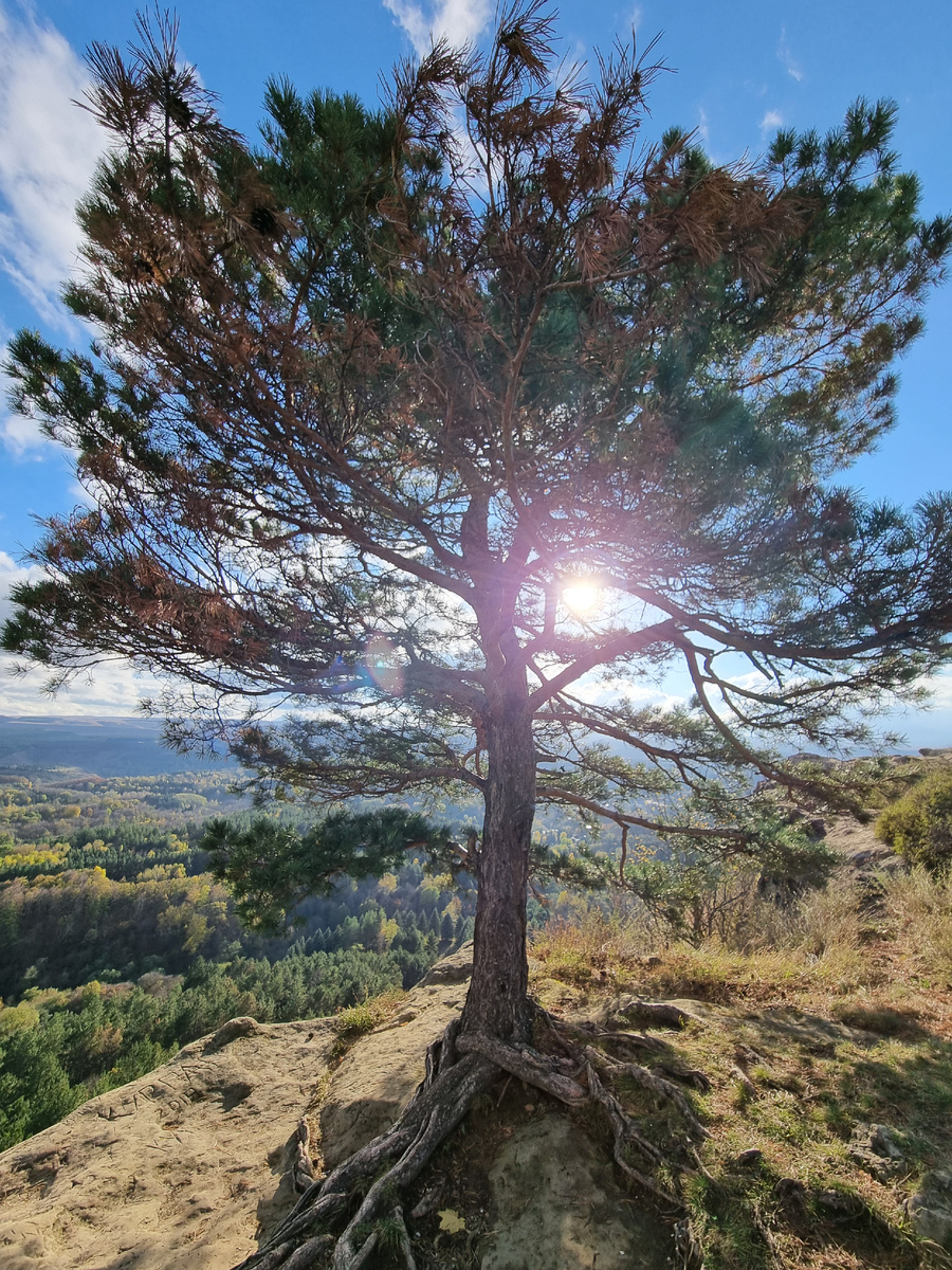 Почему так сложно начинать? И что с этим делать?

Если вы помните себя совсем в юном возрасте, вы точно ответите на мой вопрос: «Что вами двигало тогда?»

Интерес!

И тогда вам тоже было сложно начинать новое, но вы постоянно двигались, потому что вам просто было интересно. Интересно залезть в шкаф и вытащить все кастрюли, вытряхнуть муку из пакета, пробраться на очередную стройку, даже зная, что потом вас будут ругать. И последствия не страшили, потому что жажда нового перевешивала.

Так почему же с возрастом мы так боимся совершать новые шаги?

Тут есть несколько ответов на данный вопрос. И я расскажу только о некоторых, потому что мы все настолько уникальны, что вариантов может быть огромное множество.

- Ваш прошлый опыт содержит так много негативных последствий от новых действий, что мозг просто защищает вас, блокируя все новые начинания. Как пример, вас могли ругать за то, что вы делали что-то новое для себя, типа ушли из двора за три квартала и ваша мама от ужаса, что с вами что-то могло случится, устроила вам такую взбучку, что желание сделать что-то новое уже не возникало с такой силой.
- Ваши родители не позволяли вам пробовать новое, а точнее выбирать, пробовать новое. Все решали за вас и только в безопасной зоне.
- Ваши попытки сделать что-то необычное, никогда не поддерживались.

Вы постоянно слышали: «Нельзя, это запрещено, это плохо, у тебя все равно не получится, ты не дорос…»

А потом вы становитесь взрослым, вот только теперь этот голос звучит внутри вашей головы. И классно, если вы это осознаете и не верите этому противному звону, а если продолжаете верить?

Каждый раз, когда вам хочется сделать что-то необычное, новое, этот голос вас отговаривает, оскорбляет, запугивает, обесценивает. Так работает мозг. Но вы больше чем серое вещество в черепной коробке. Вспомните про тот интерес, про миллион ошибок перед тем, как что-то начинает получаться, про восторг, когда, наконец, получилось.

Попробуйте услышать другой голос. Собственный! Тот, который идет за своим интересом, верит, вдохновляет, ценит!

Ваш прошлый опыт будет пытаться вернуть вас на проторенную дорожку. Главное, делать маленькие шаги по другому пути. И через какое-то время вы увидите, насколько изменились вы и ваша жизнь, какой она стала наполненной, именно вашей, а не такой, какой должна быть по чьему-то мнению или устоям.

Попросите помощи у близких и друзей, поищите единомышленников, создайте для себя поддерживающую атмосферу. Не ждите, что кто-то или что-то изменит это за вас. Вы сможете!🫶

#выгорание #ищукоуча #ищупсихолога #привычки #новыедействия #саморазвитие