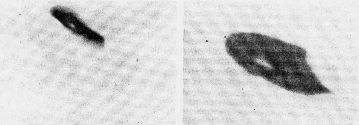 Вот эти два фото, которые сделал Роудс