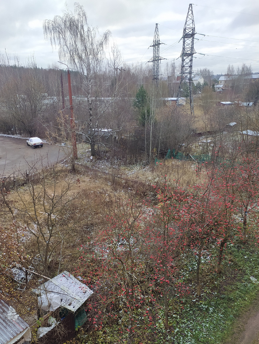 Сегодняшний вид на ойкумену