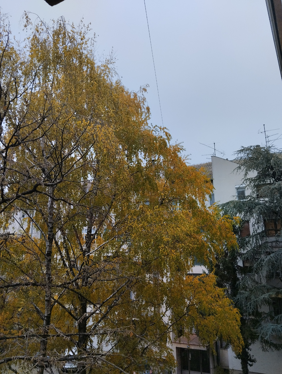 Сыро и прохладно