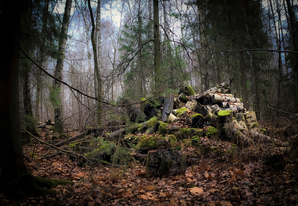 апофеоз осени