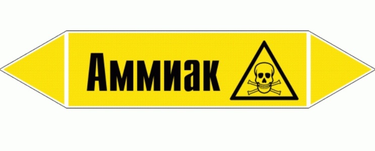 Изображение  из открытых источников