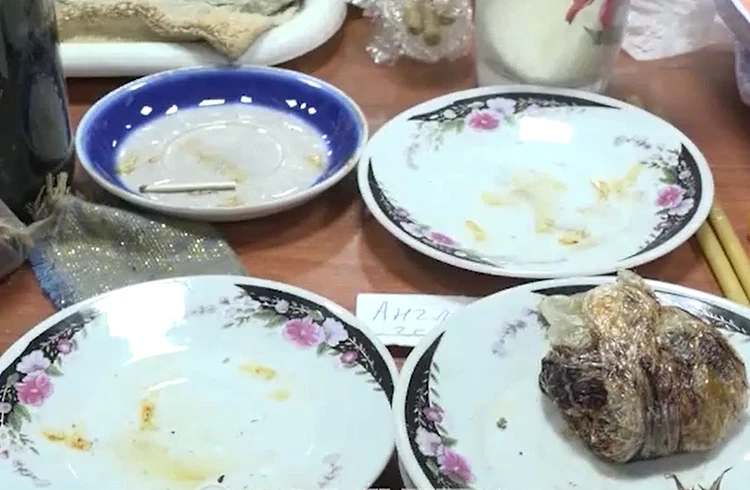 Фото: скриншот видео ЧГТРК «Грозный»