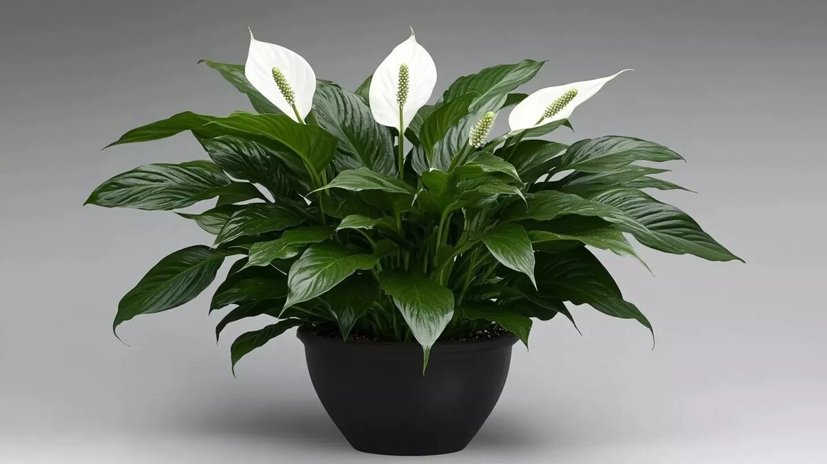     Источник: Изображение Midjourney