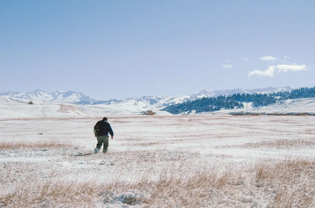 Белые равнины. Фото: Дарья Королева