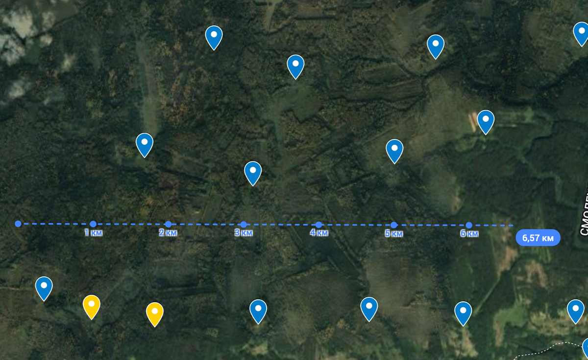 Метки бывших деревень в Смоленской области на участке 6,5 км, скиншот Coogle Maps