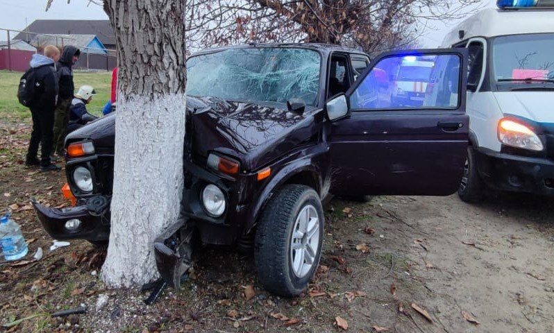    Фото t.me/kubanspas