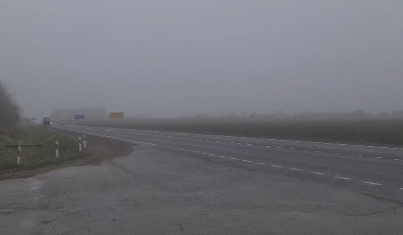    Фото: пресс-служба Госавтоинспекции Кубани