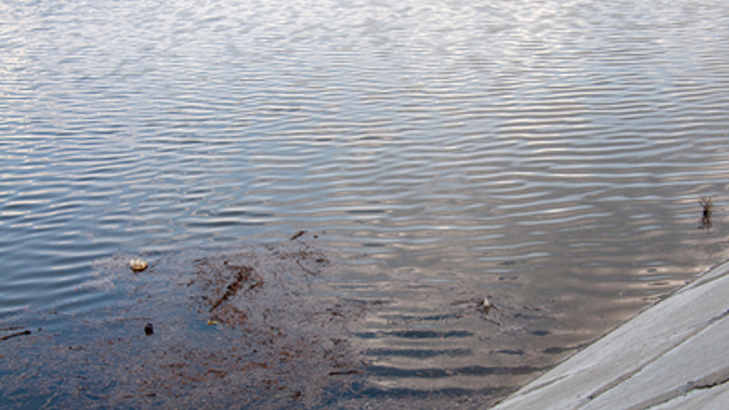    Фото: Svetlana Vozmilova/Global Look Press/Globallookpress