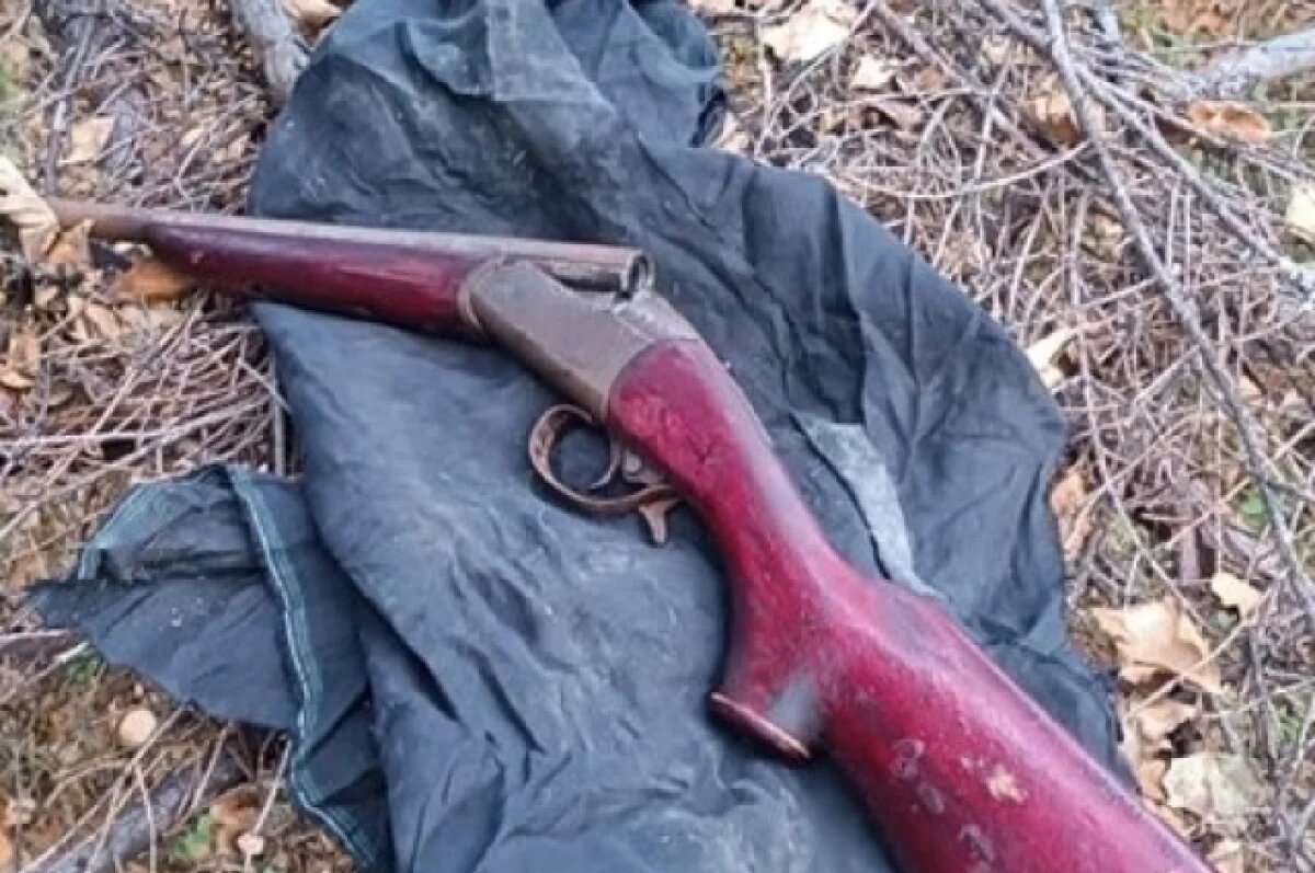    Пять единиц оружия и 15 патронов изъяли псковские росгвардейцы за неделю