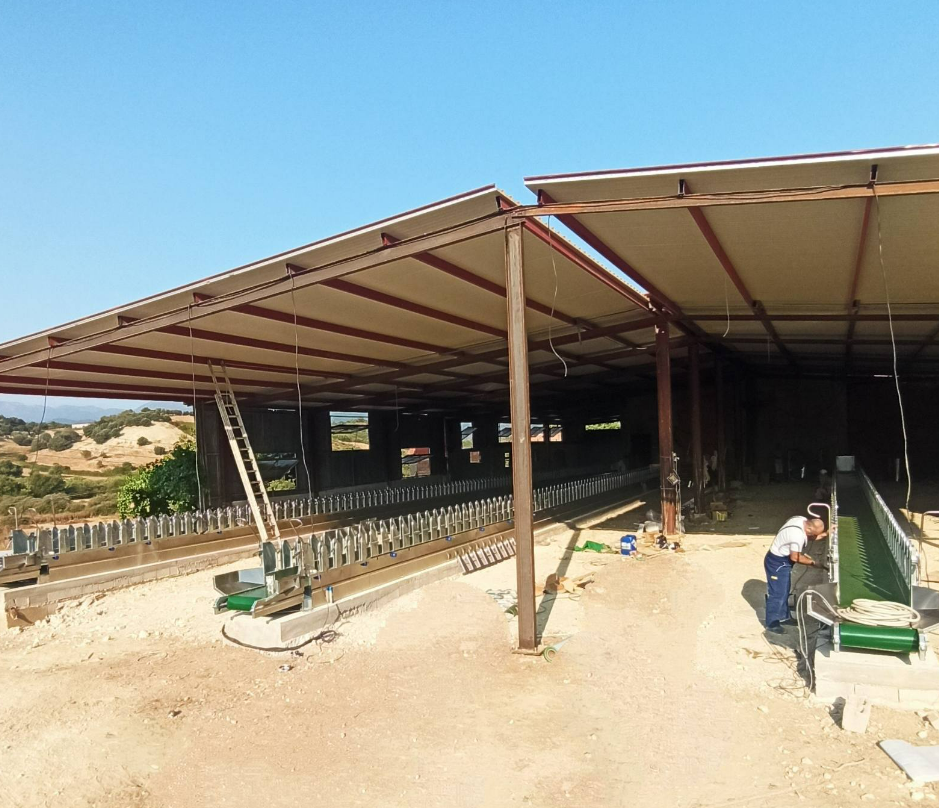 Кормовая лента Sylco Hellas с хедлоками для овец на ферме Морайти 