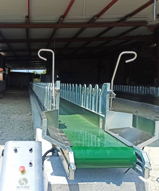 Кормовая лента Sylco Hellas с хедлоками для овец на ферме Морайти