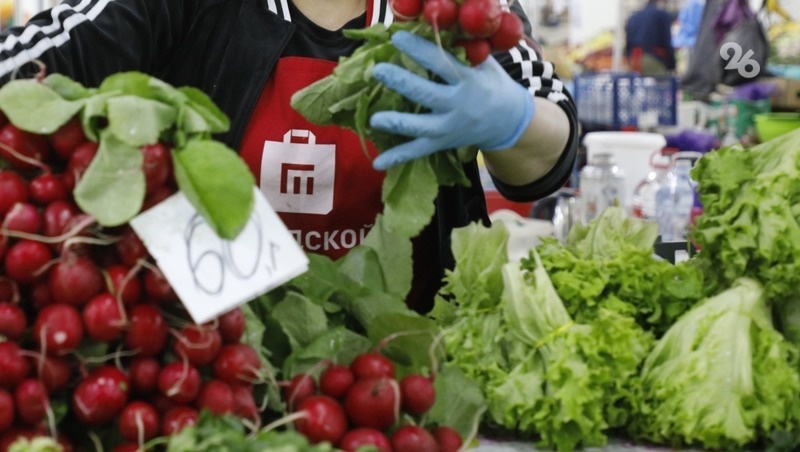      Фото: ИА «Победа26»