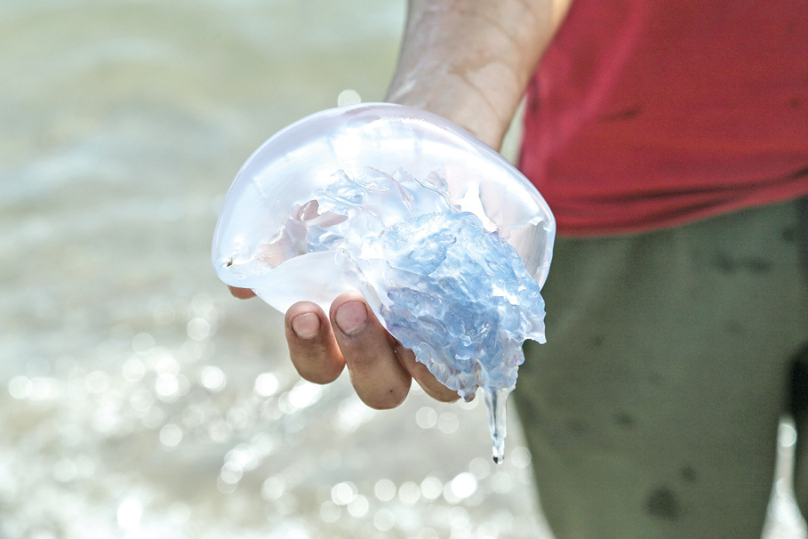 Фото из архива «Крымской газеты»