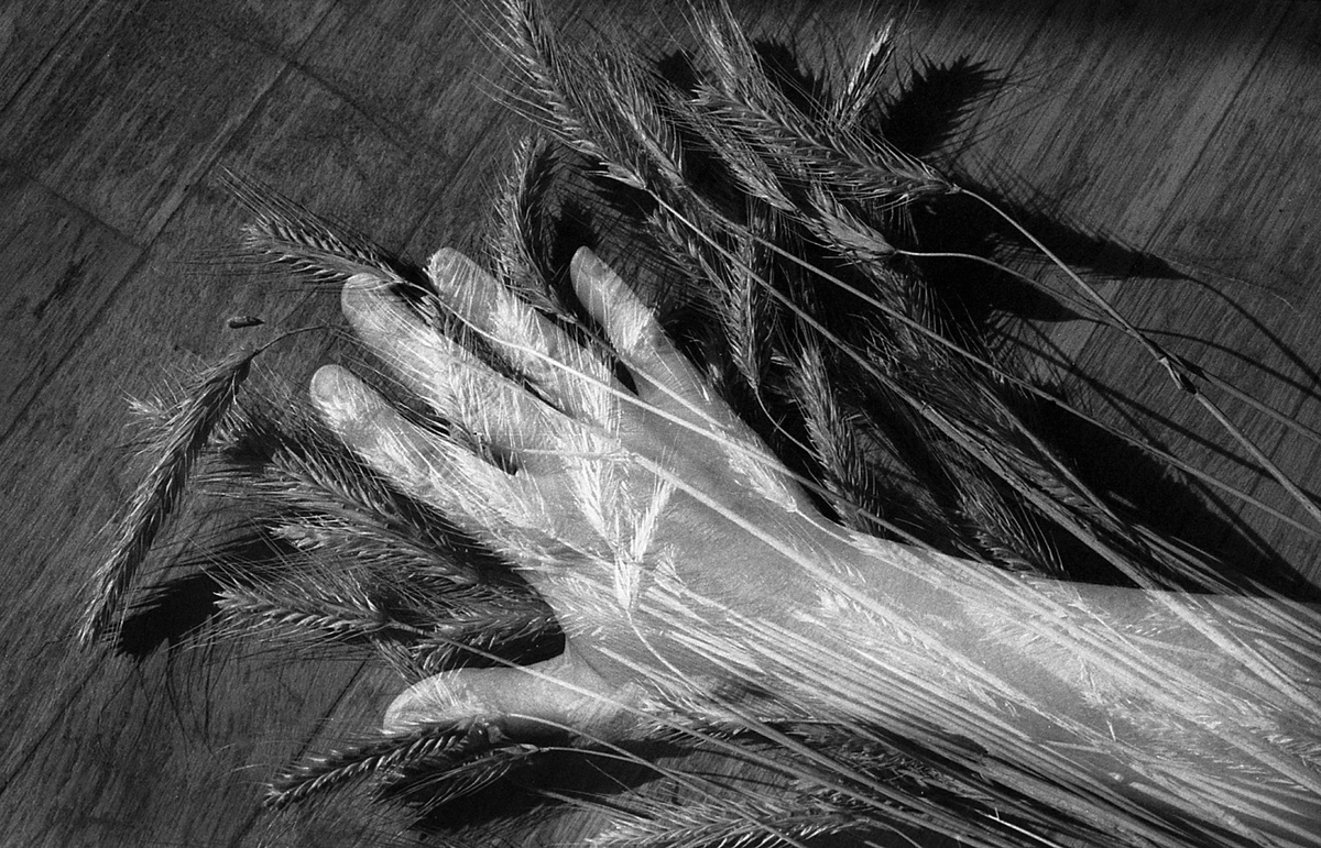 Минольта Динакс 5 с функцией двойной экспозиции