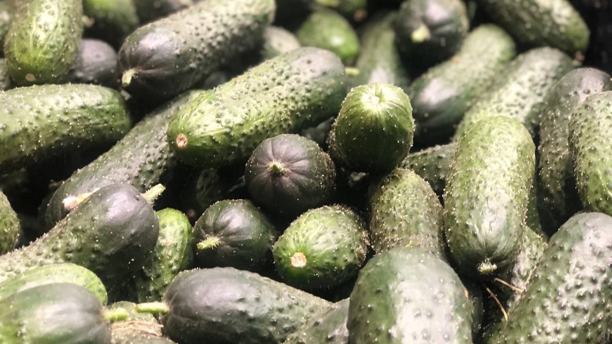 ИА SM-News Тюмень📷
