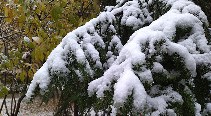    Фото из архива "Континента Сибирь"