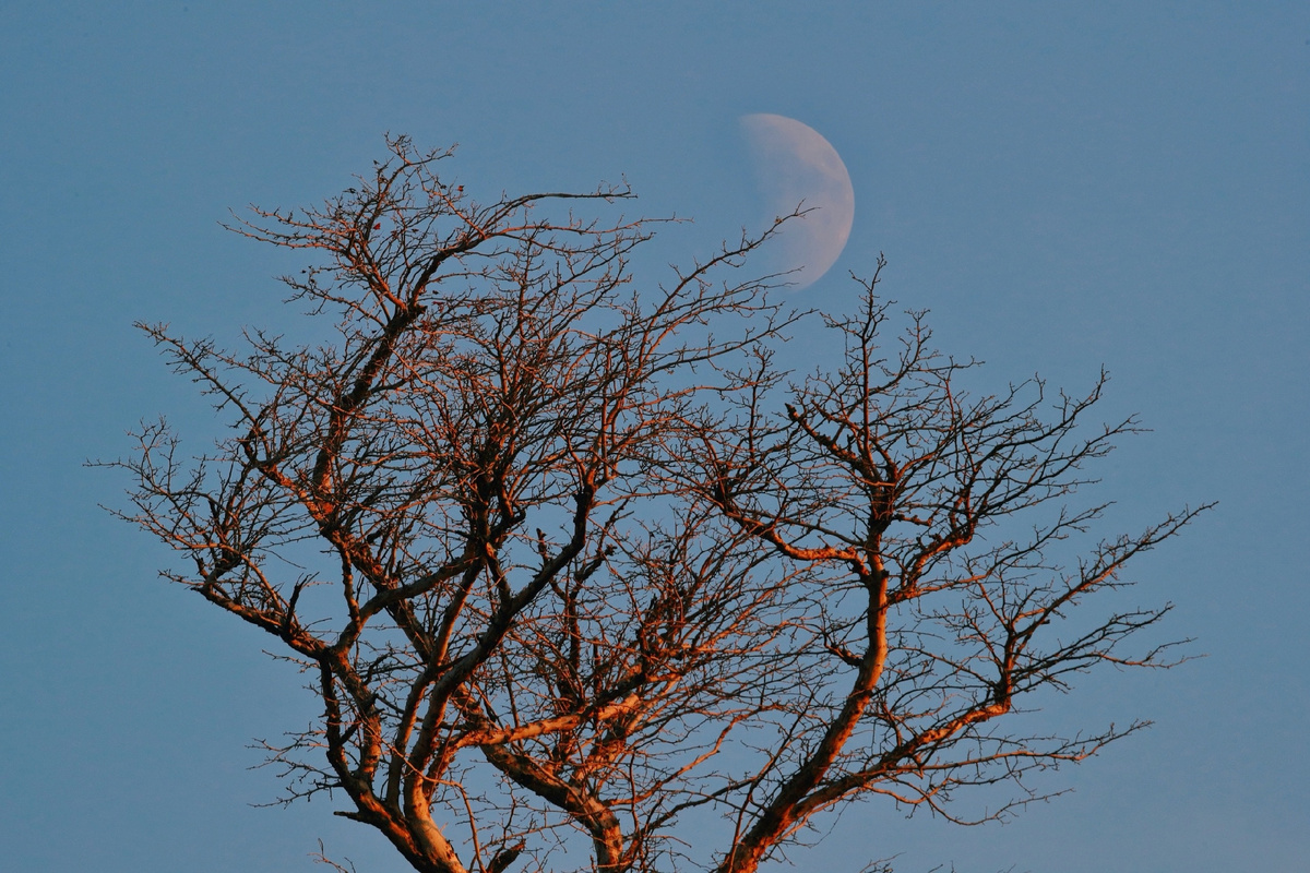 Фото: Владимир Калашников