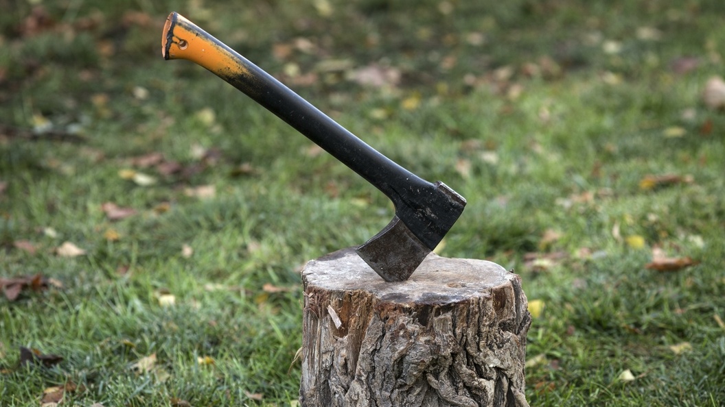    Nikolay Gyngazov/Global Look Press