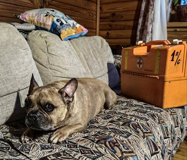 На 45 ДТП и 36 пожаров выезжала на неделе тверская скорая