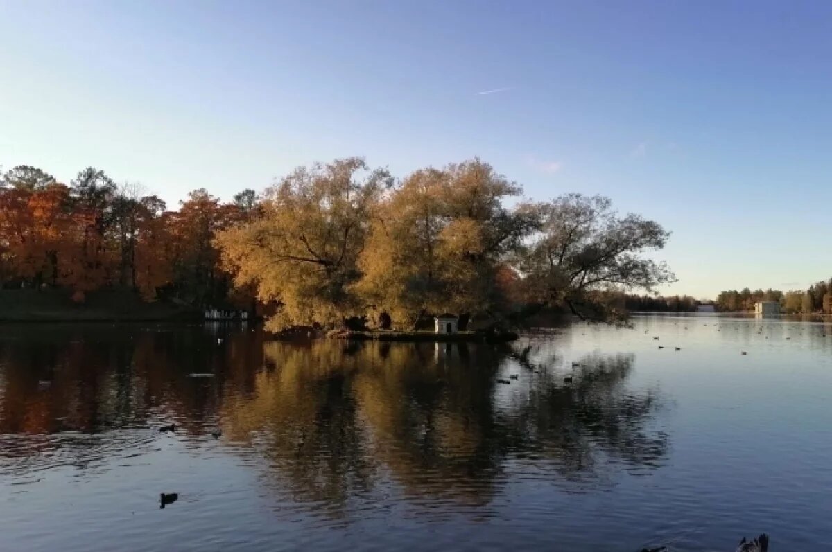    Синоптики прогнозируют аномальное потепление в Петербурге