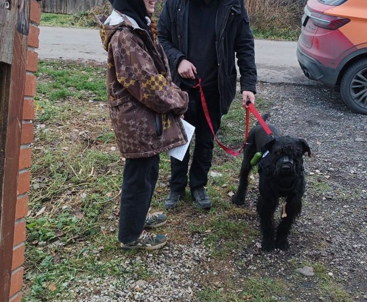 Ромыч в новых руках