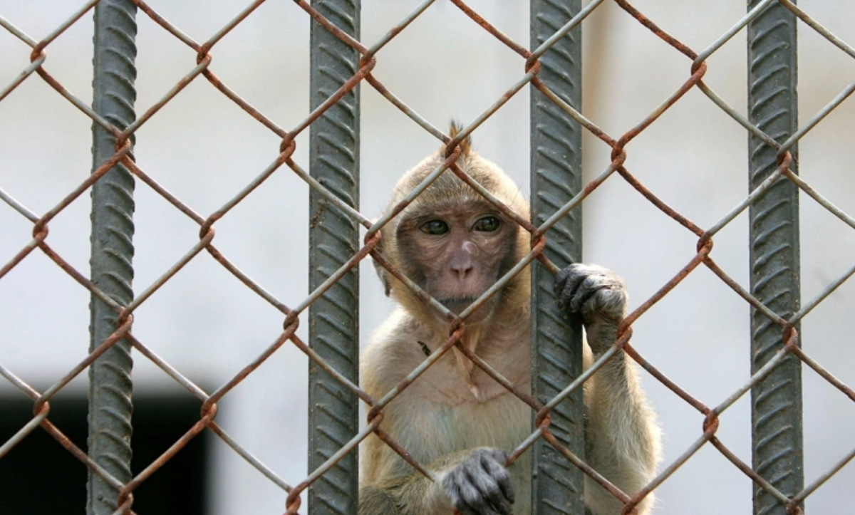 Фото: Getty Images 