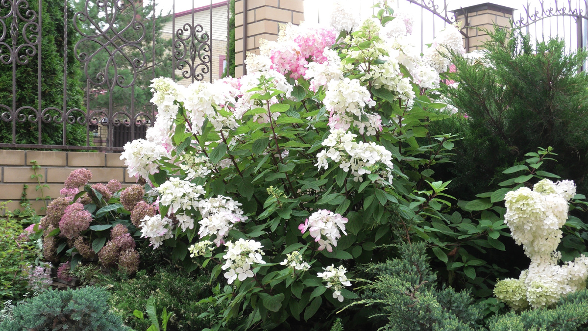 Фото из личного архива