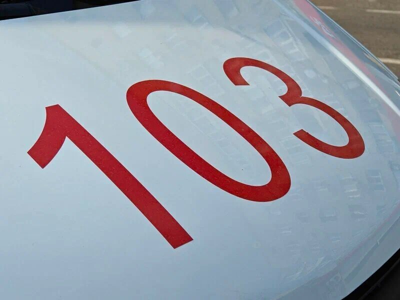    Фото: Юрий Серебренников/BFM Кубань