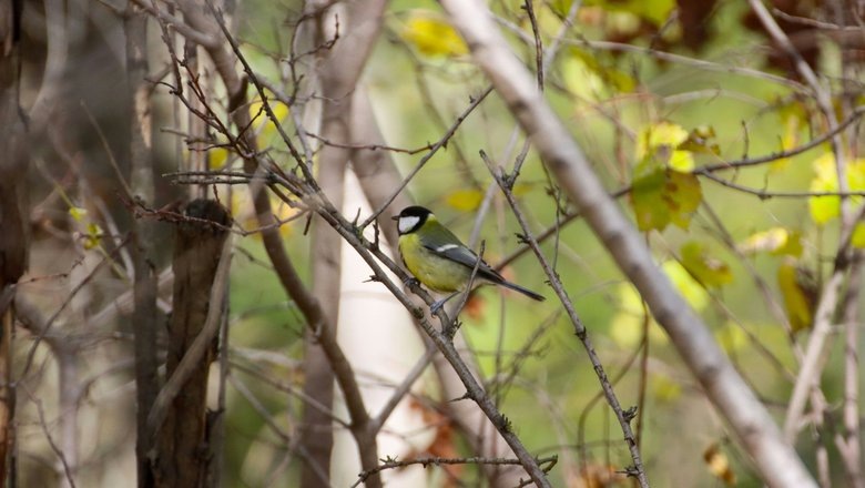 Источник: Unsplash