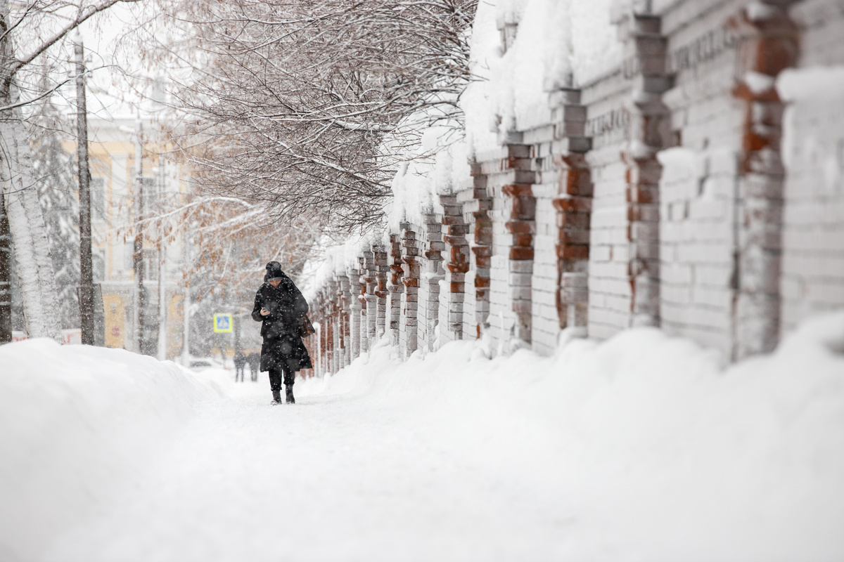 Фото: Тульская служба новостей