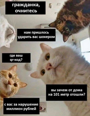 https://dzen.ru/a/Ywm-mkVz8URtHL5G