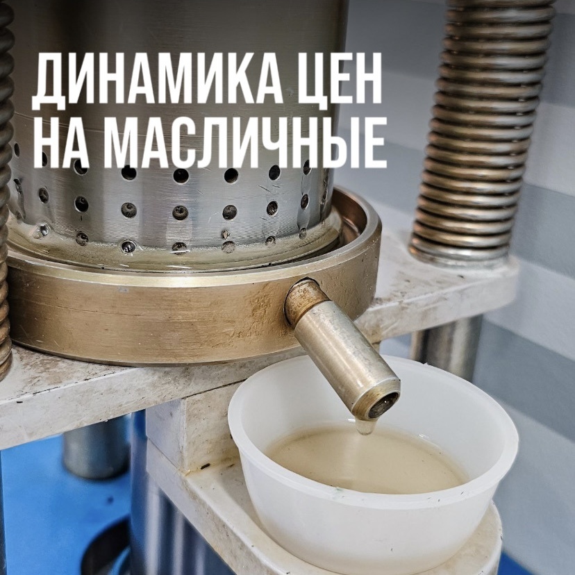 ДИНАМИКА ЦЕН НА МАСЛИЧНЫЕ