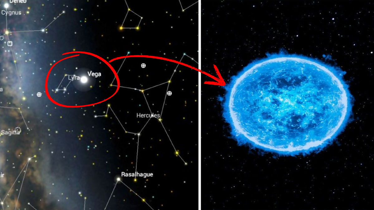Яркая юная звезда в созвездии Лиры, которая в 2 раза массивнее Солнца. Источник изображения: habr.com