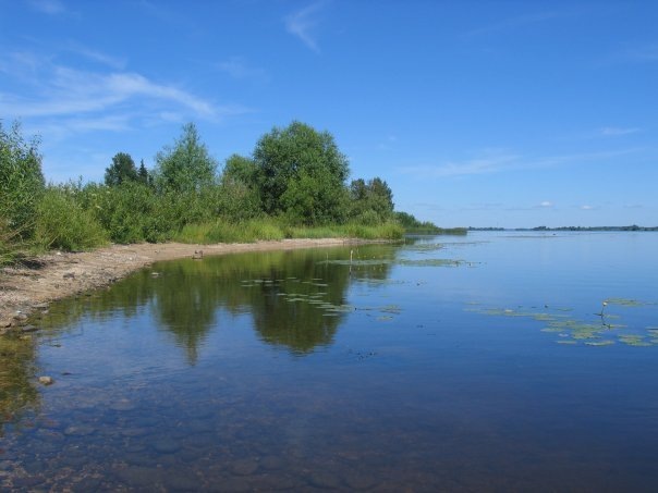 Река Волга. Летом. Ярославская область. Фото Ильи Потапова.